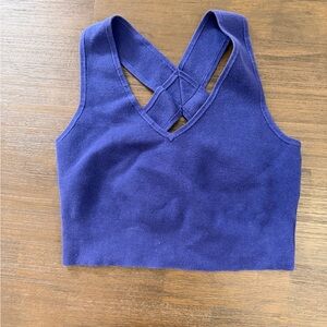 Express Royal Blue Knit Top